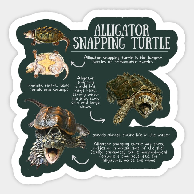 Animal Facts - Alligator Snapping Turtle Sticker by Animal Facts and Trivias